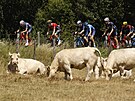 Jezdci z úniku ve 13. etap Tour de France