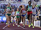 Etiopanka Hirut Mesheshaová vítzí v prvním rozbhu bhu na 1500 metr.