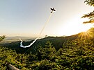 Pilot Martin �onka p�edvedl akrobatickou show kolem  visut� l�vky Sky Bridge v...