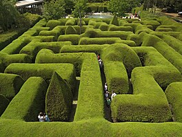 Ashcombe Maze and Lavender Garden, Victoria, Australia