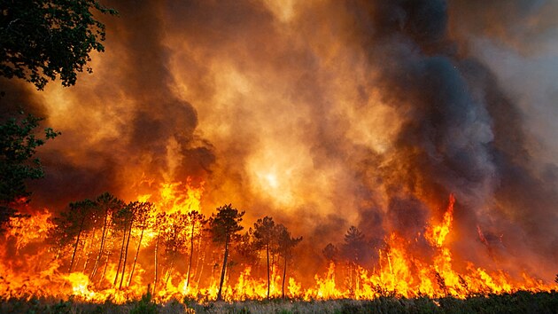 Plameny sraj lesy v Landirasu jin od Bordeaux ve Francii. (15. ervence 2022)