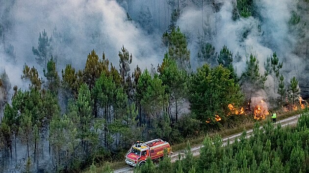 Plameny sraj lesy v Landirasu jin od Bordeaux ve Francii. (16. ervence 2022)