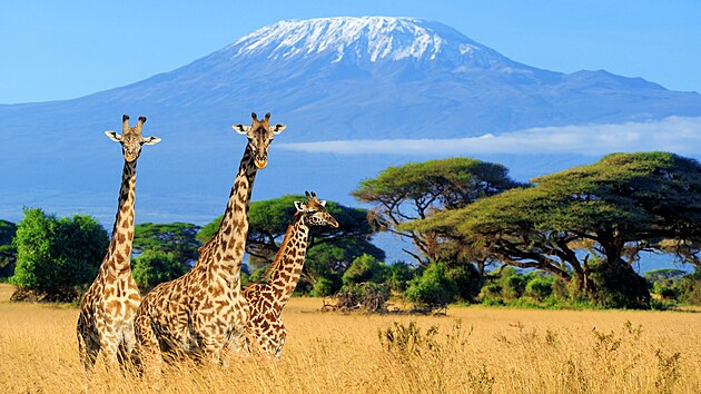 Kilimandžáro (Tanzanie)