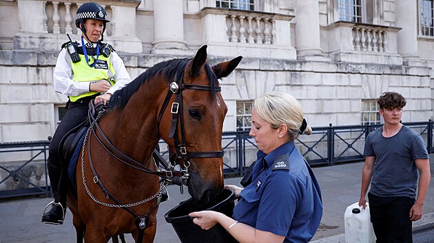 Policejní kůň dostává napít během vlny veder v Londýně. (18. července 2022)