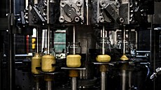 Továrna na dijonskou hocici v Fleurey sur Ouche na východ Francie 