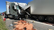 Dálnici D5 zablokovala hromadná nehoda. (19. července 2022)