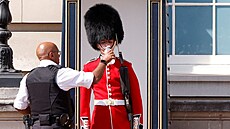 Člen královské gardy v Londýně dostává napít. V Británii panují obrovská vedra....