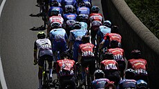 Peloton b�hem 14. etapy Tour de France