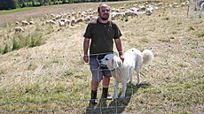 Jiímu Pivcovi z Bukovce pomáhají steit stádo ovcí pastevetí psi.