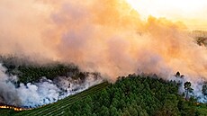 Plameny sžírají lesy v Landirasu jižně od Bordeaux ve Francii. (16. července...