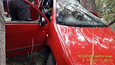Nehodu u Temoné nepeil idi, který s automobilem narazil do stromu.