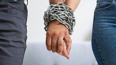 ilustra�ní snímek