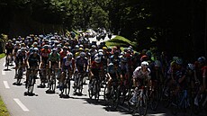 Peloton bhem desáté etapy Tour de France.