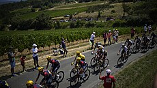 PYRENEJE. Peloton bhem estnácté etapy Tour de France, mezi jezdci lape ve...