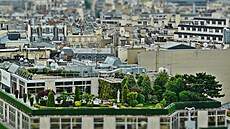 V zahrani�í se zelené st�echy v centru m�st �asto realizují jako pobytové.