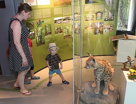 Návtvnost nejrychleji rostla na Tínském Slezsku, kde se letos otevelo i Muzeum Trojmezí v Jablunkov.
