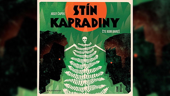 Stín kapradiny