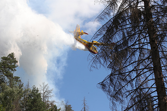 Hasící letadla Canadair CL-415 v Národním parku České Švýcarsko. (28. července...