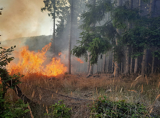 Při požáru lesa u Přílep komplikoval práci hasičů těžko přístupný terén. (25....