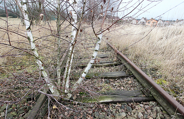 Zanedbanou železniční trať mezi Polnou a Dobronínem pohlcuje vegetace. Vlak...