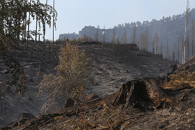 V době požáru si v národním parku rozdělali oheň, dostali pokutu tři tisíce