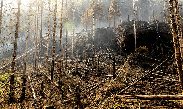 Budíček pro české popírače změn klimatu, píší v Británii o požáru u Hřenska