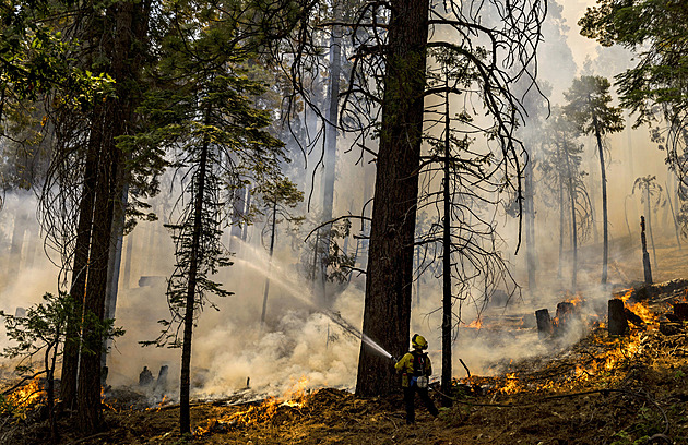Obří požár ohoržuje Yosemitský park, hoří lesy napříč Evropou