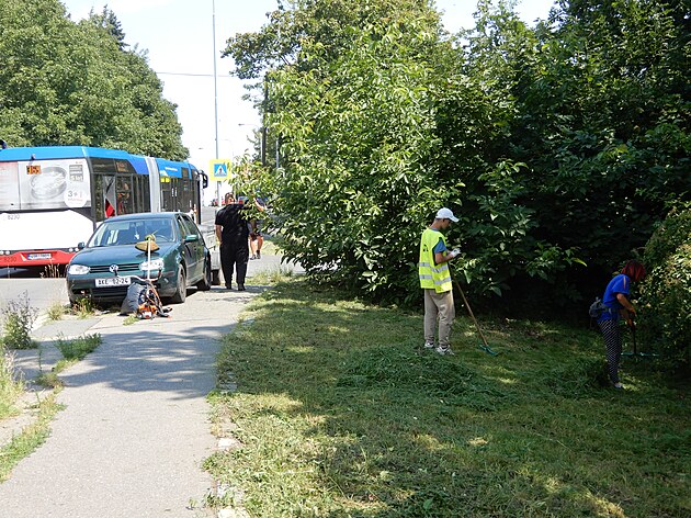 Autobus versus kámen