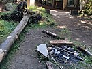 iveln ohnit v nrodn prodn rezervaci Rolavsk vrchovit. (28. ervence...