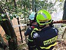 Hasii z 16 jednotek bojuj s porem lesa v Nrodnm parku esk vcarsko....