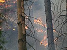 Lesní požár v Národním parku České Švýcarsko u Hřenska (26. července 2022)