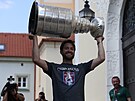 Pavel Francouz se Stanley Cupem nad hlavou pi píchodu ped dav fanouk.