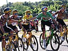 Slavnostní pípitek mezi jezdci týmu Jumbo Visma bhem 21. etapy Tour de France