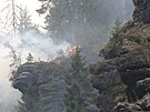 Lesní poár v Národním parku eské výcarsko u Henska (26. ervence 2022)