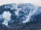 Nmetí hasii bojují s rozsáhlým poárem v Saském výcarsku. (26. ervence...