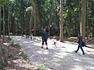 Nová lesní naučná stezka u Stříbrného rybníka je určena hlavně pro předškolní a...