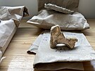 Archeologové narazili na mnoství zbytk keramiky a dalích úlomk.