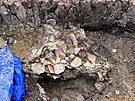 Archeologov se pokus urit pesn st stedovk studny.