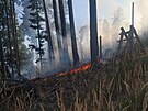 P�i po��ru lesa u P��lep komplikoval pr�ci hasi�� t�ko p��stupn� ter�n. (25....