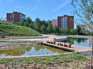 Vodní biotop v Centrálním parku na Jiních Svazích ve Zlín (ervenec 2022)