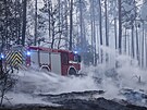 Nmetí hasii bojují s rozsáhlým poárem v Braniborsku. (26. ervence 2022)