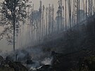 Požár v Národním parku České Švýcarsko u Hřenska za sebou nechává obrovské...