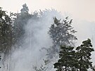 Lesní požár v Národním parku České Švýcarsko u Hřenska. 26. července 2022