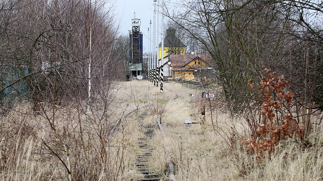 Zanedbanou elezniní tra mezi Polnou a Dobronínem pohlcuje vegetace.