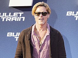 Brad Pitt na premiée filmu Bullet Train (Berlín, 19. ervence 2022)