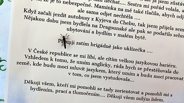 Ukrajinsk eny vybraly ve prospch postiench chlapc tm 10 tisc korun. Soust akce byla i vstavka pbh Ukrajinek.