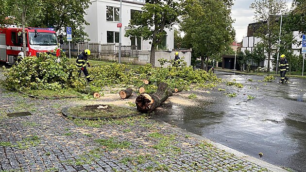 V sobotu hasii zasahovali u spadlho stromu v ulici U Pernikky na Smchov. (23. ervence 2022)