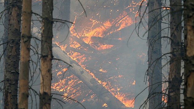 Plameny zachvátily les v Českém Švýcarsku. (26. července 2022)