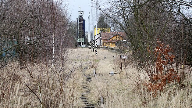Zanedbanou železniční trať mezi Polnou a Dobronínem pohlcuje vegetace.