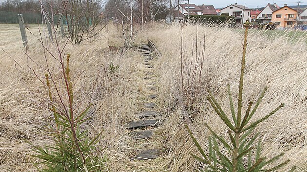 Zanedbanou �elezni�n� tra� mezi Polnou a Dobron�nem pohlcuje vegetace.